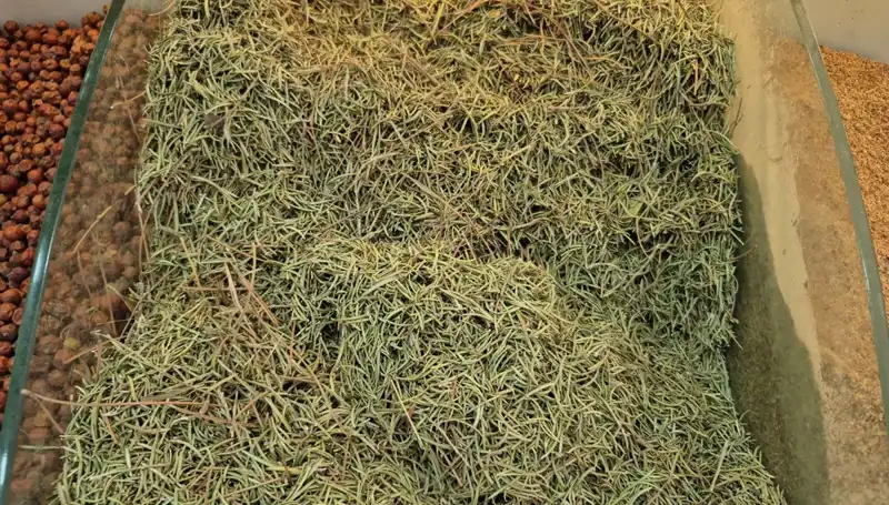 Yaz Aylarında Artan İnternet Satışları: Ölüme Götüren Riskler