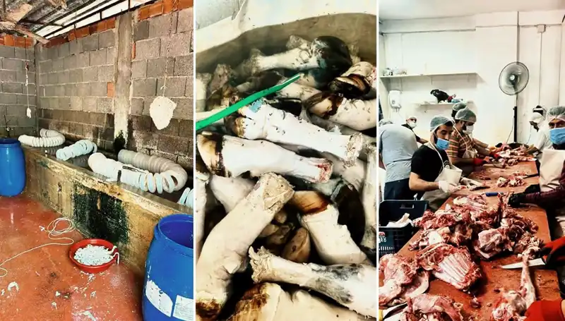 Adana'da Yüzlerce Kilo Sağlık Tehlikesi: Paça Skandalı Gözler Önünde!