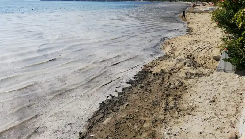 İstanbul'da Müsilajla Mücadelede Kararlılık: 268 İşletme Kapatıldı
