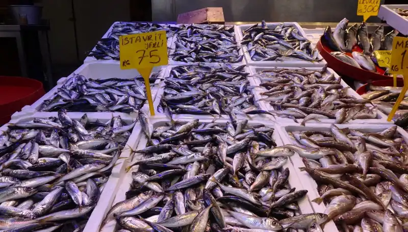 Balık Sezonu Kapanıyor: Son Fırsatlar ve Gelecek Yılın Beklentileri