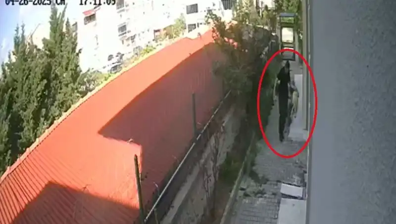 İstanbul'da Üzücü Olay: Doktor Köpeklere İnsafsızca Davrandı ve Tutuklandı