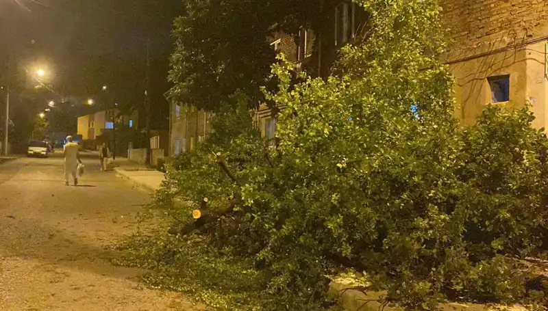 Karabük’te Beklenmedik Fırtına: Hasar ve Kurtarma Çalışmaları Devam Ediyor