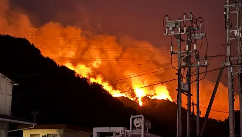 Japonya'da Orman Yangınları: Alarm Halinde İki Eyalet Alev Alev Yanıyor