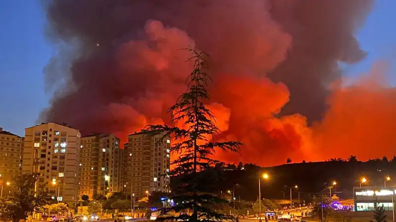 Bursa'da Yangın Alarmı: Şehirde Alevlerin Gölgesi!