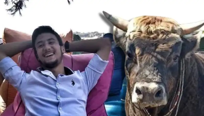 Aydın'da Güreş Boğası Tarafından Can Alınan Vatandaşın Dramı