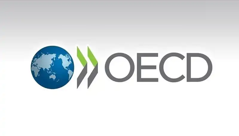 Türkiye Ekonomisi İçin OECD’den Yeni Büyüme Tahmini: Beklentiler Neler?