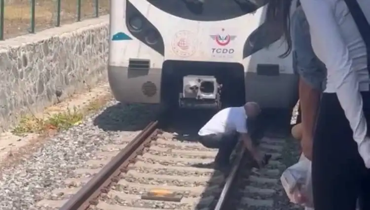 Raylardaki Kedi Uğruna Marmaray Seferleri Durduruldu!