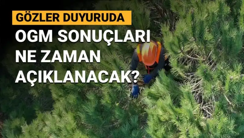OGM Personel Alımı Duyurusunda Gözler Sonuçlarda: 3 Bin 477 Kontenjan Açık!