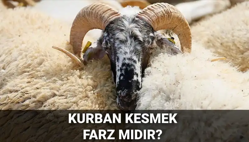 Kurban Kesmek Farz mı? Diyanet'in Görüşü ve Şartları Neler?