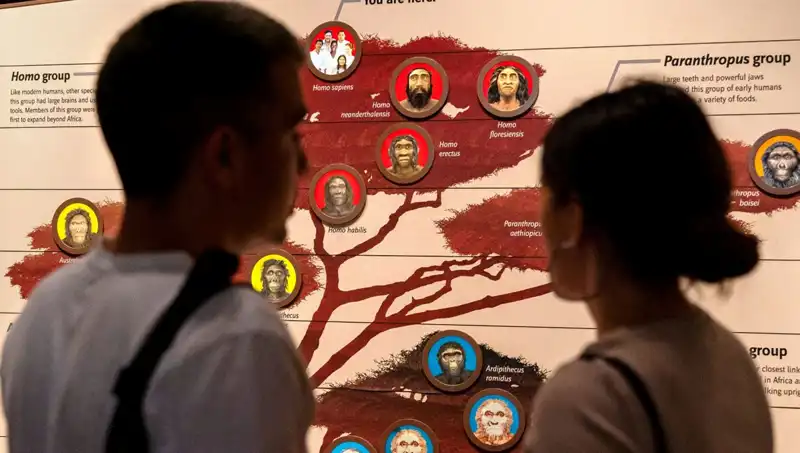Modern İnsanların 40 Bin Yıl Önceki Hayatta Kalma Stratejileri Nedir?