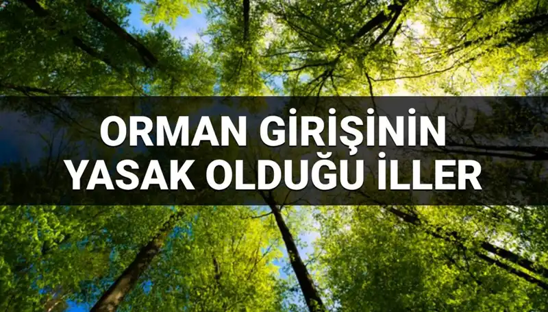 2025’te Ormana Girmek Yasaklanan İller: Yeni Düzenlemelerle Gelecek Tehlikeleri
