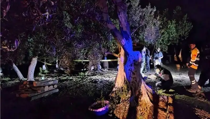 Çiftlikteki Şok Edici Vahşet: Baltalı Olayda Bir Tutuklama Gerçekleşti