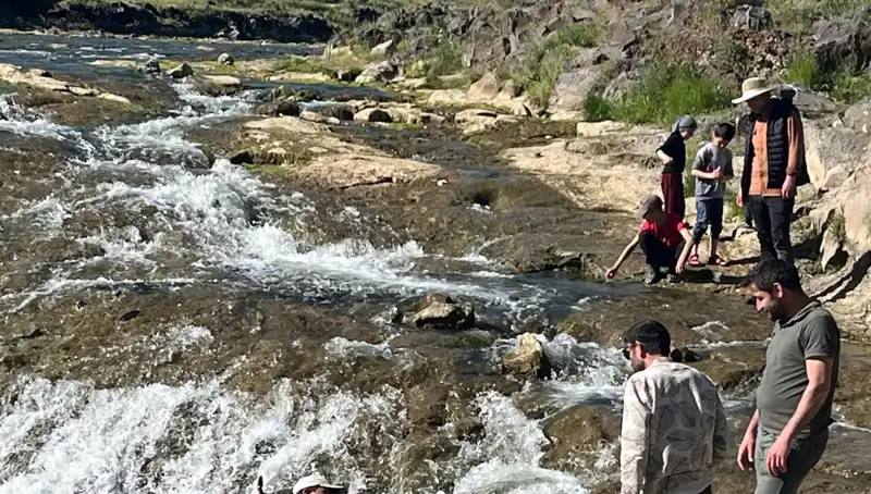 İnci Kefalinin Büyüleyici Göçü: Sırrı Çözülüyor, Turistler Akın Akın Geliyor!