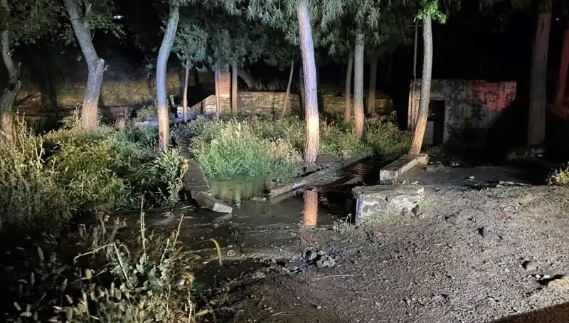 Manisa'da Parkta Şüpheli Ölüm: Olay Yeri Detayları ve Gelişmeler