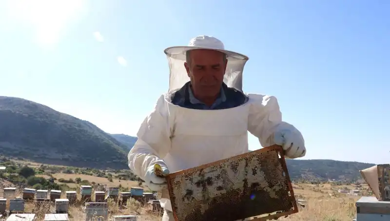 25 Yıl Sonra Bir Dönüş: Mobilya İşini Bırakan Girişimcinin Başarı Hikayesi